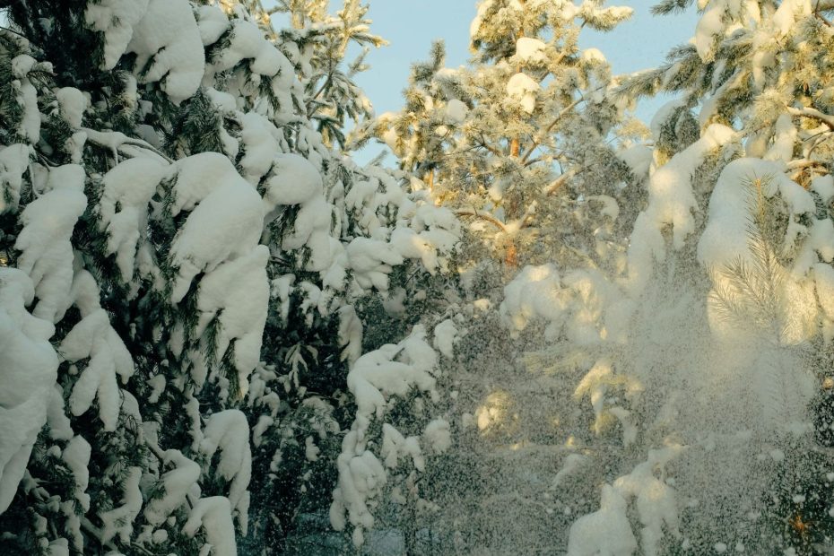 Let No Delay Shake Our Faith