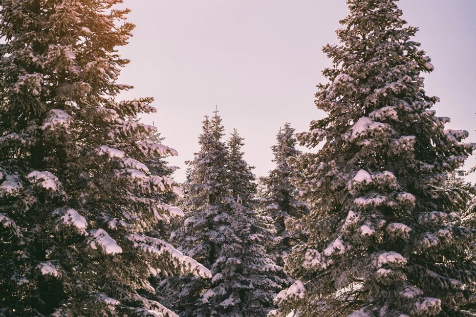 So Filled With His Will