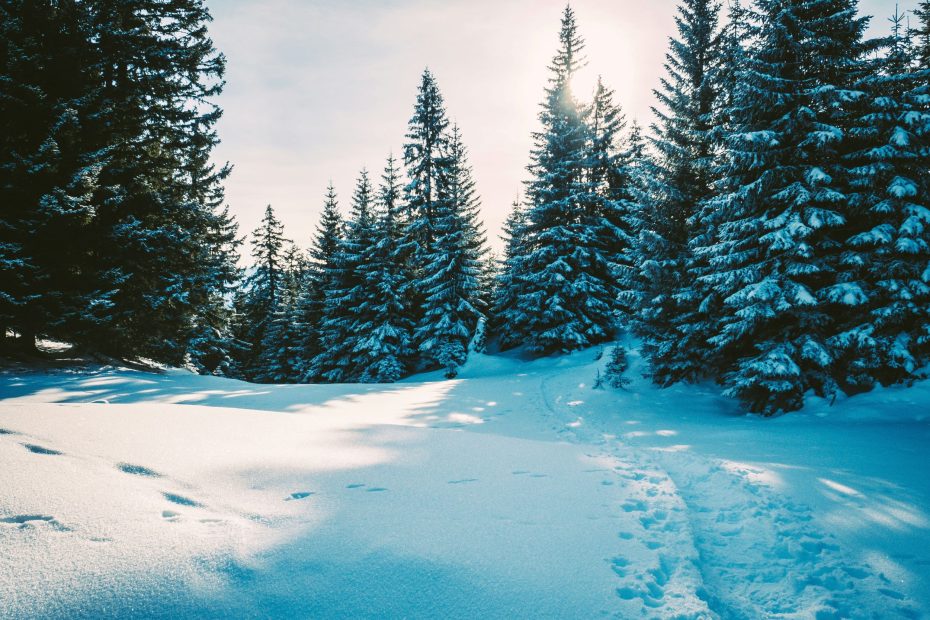 God's Word Assures Us