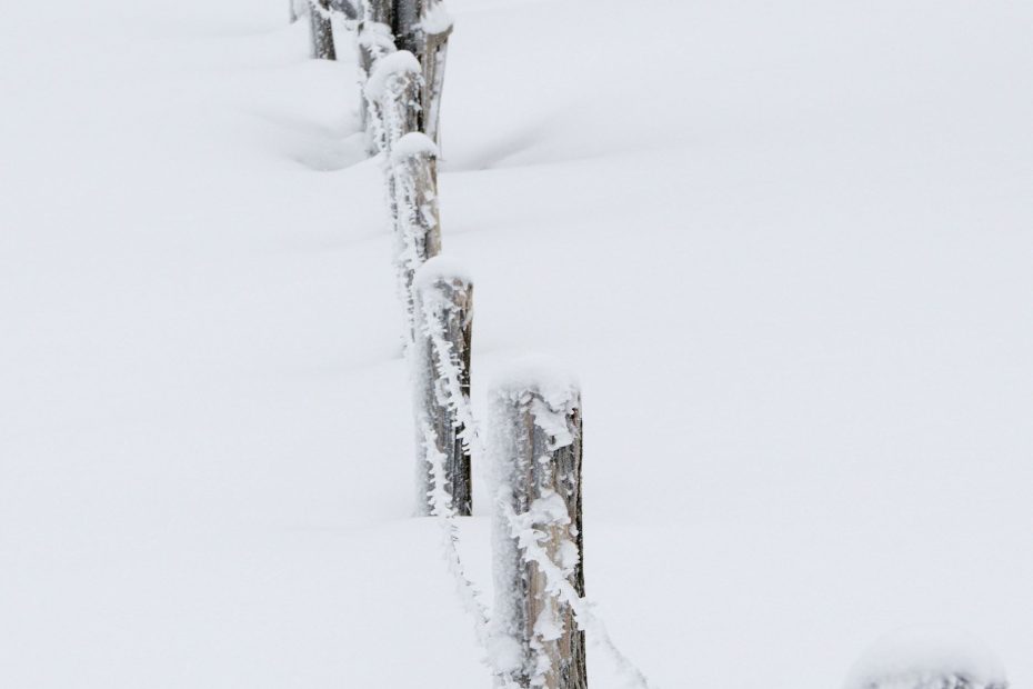 Rivers of Living Water