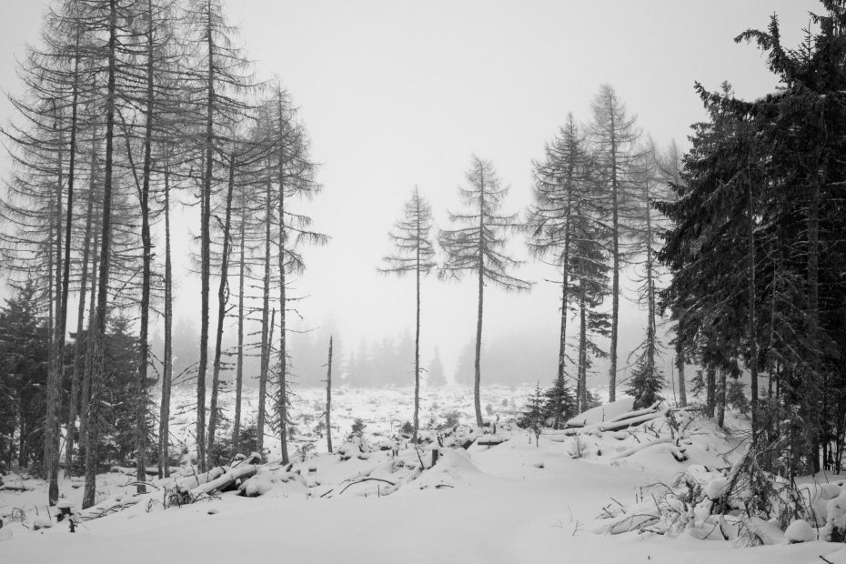 Receive Submit Accept Expect Believe Walk In