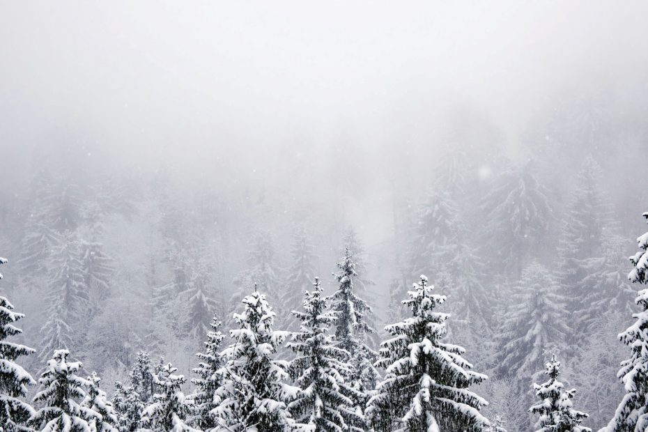 It Will Soon Be Past