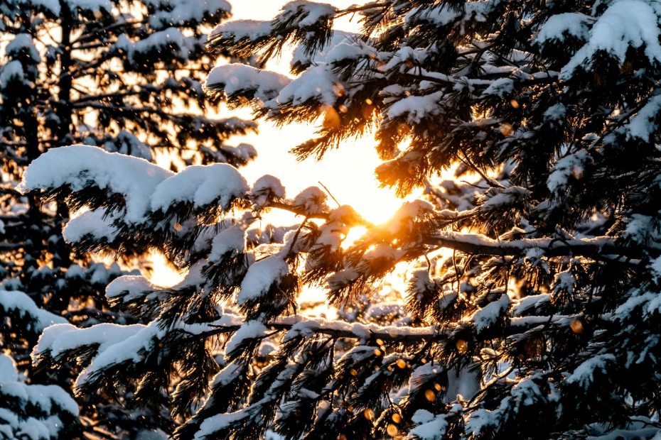 United With His Will