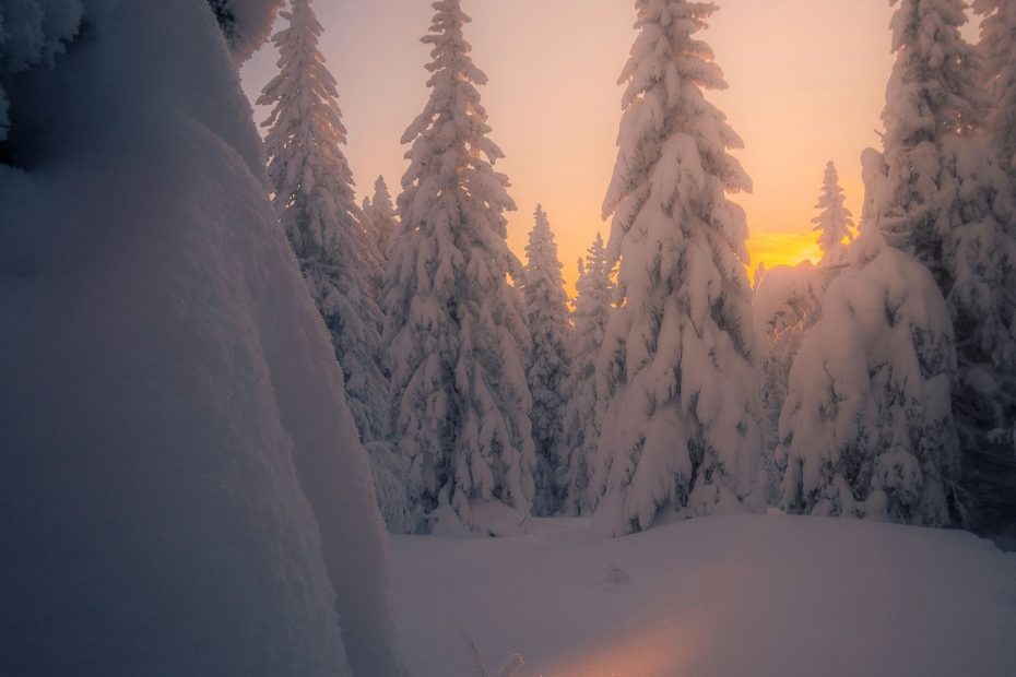 The Blood is Primarily for God