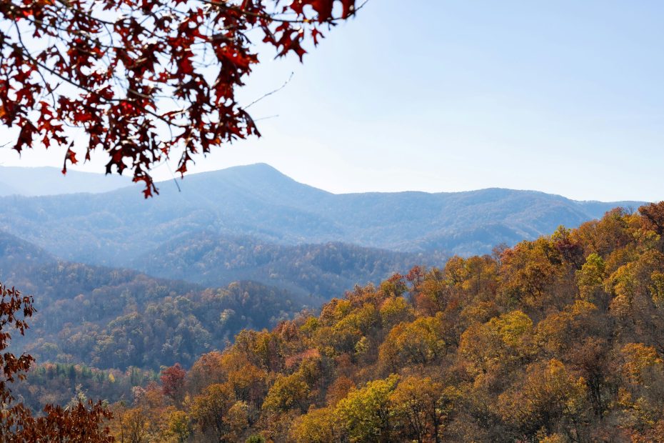 Pray According To God's Will