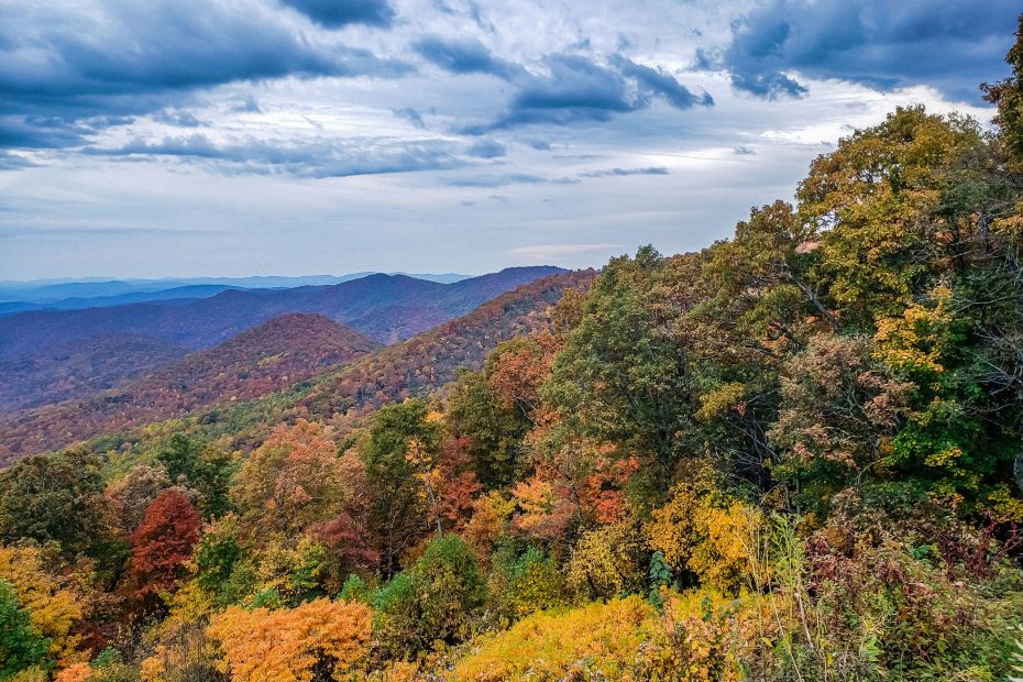 We Can Love All the Day