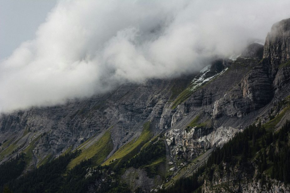 Cooperation Founded On Subordination