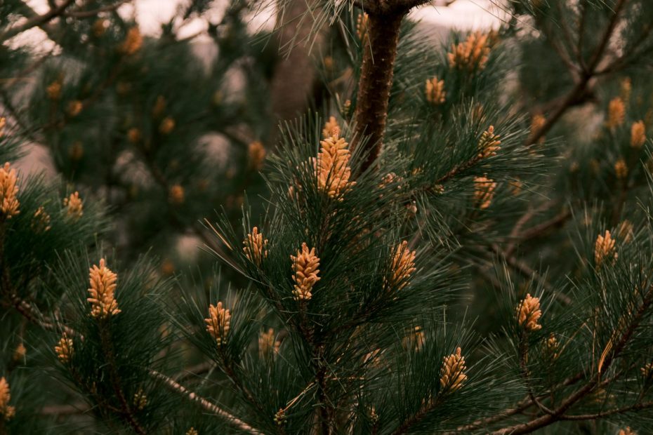 Under The Light of God