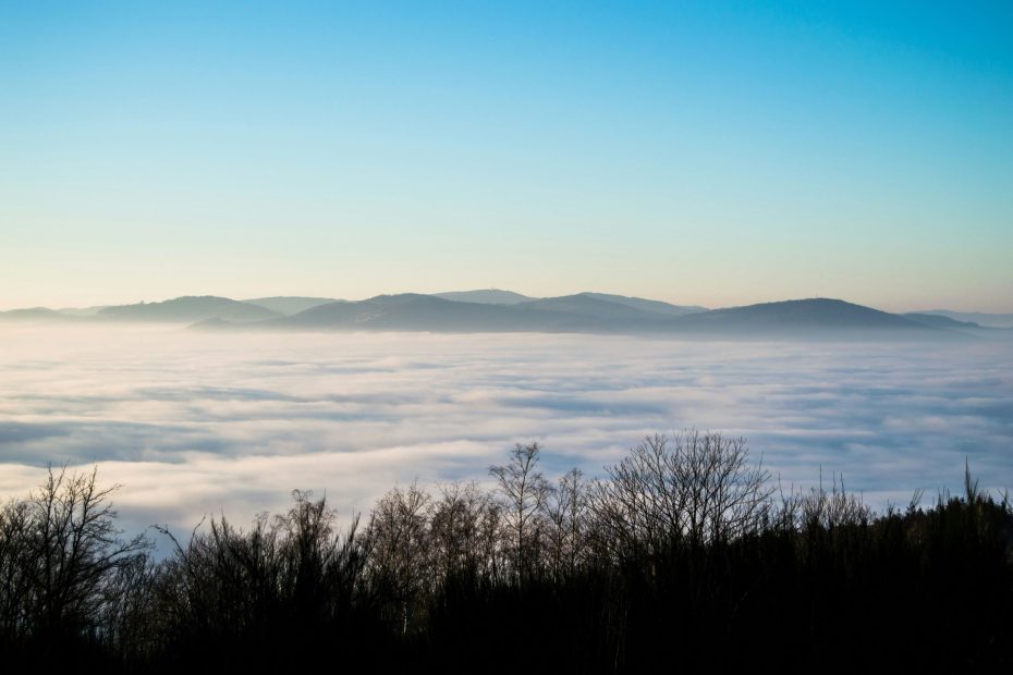 Removed That Barrier