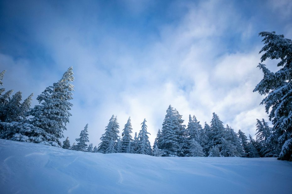 Removes That Barrier