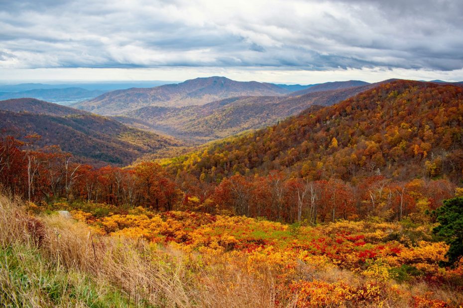 Exercise Watchfulness