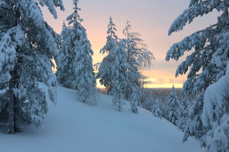 Realization of God's Will