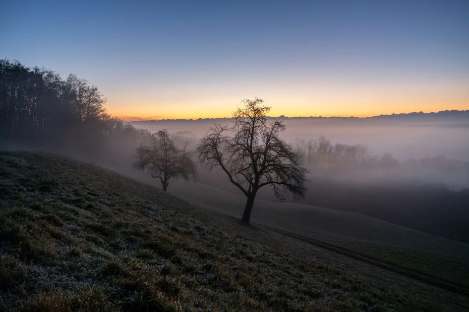 Become Servants of Love