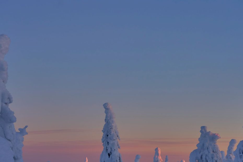 Do Not Be Led Astray