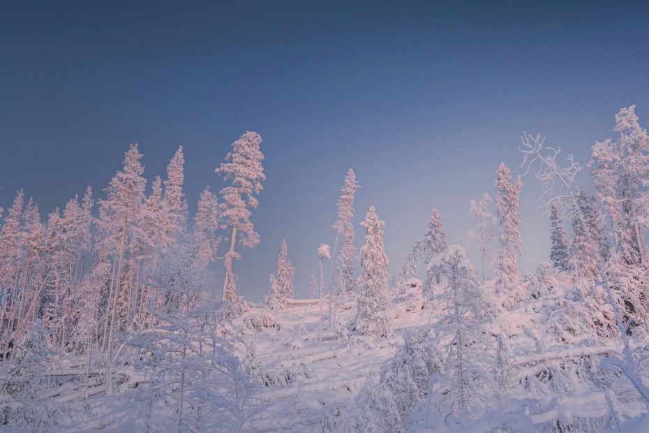 Follow His Footsteps