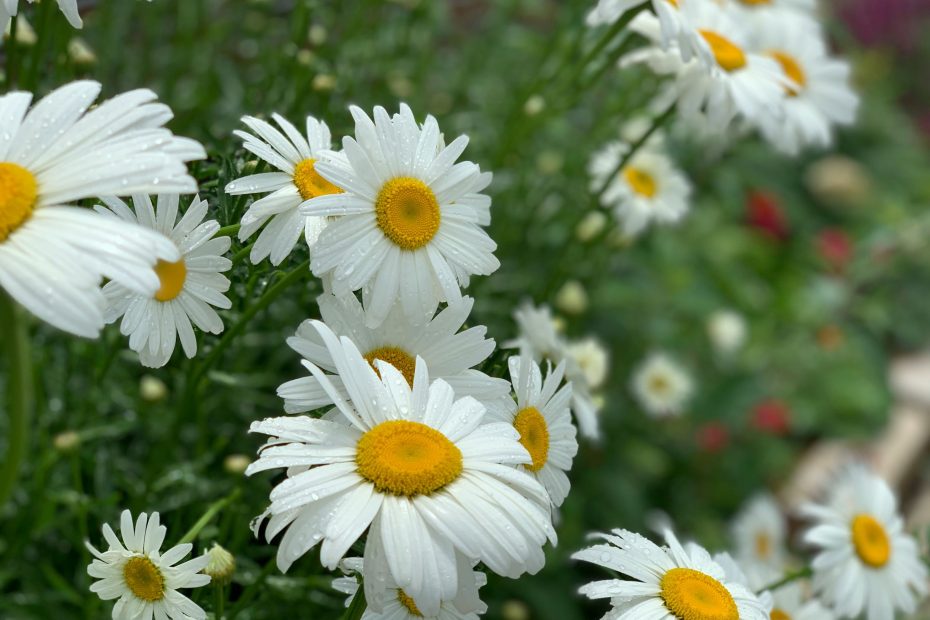 Do Not Be in Suspense