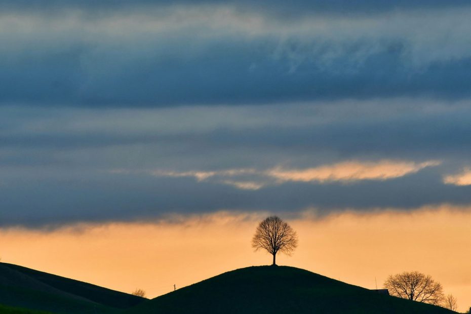 Workmen To His Harvest
