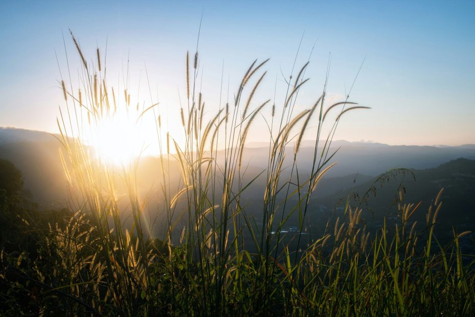 ONLY THE GLORY of GOD