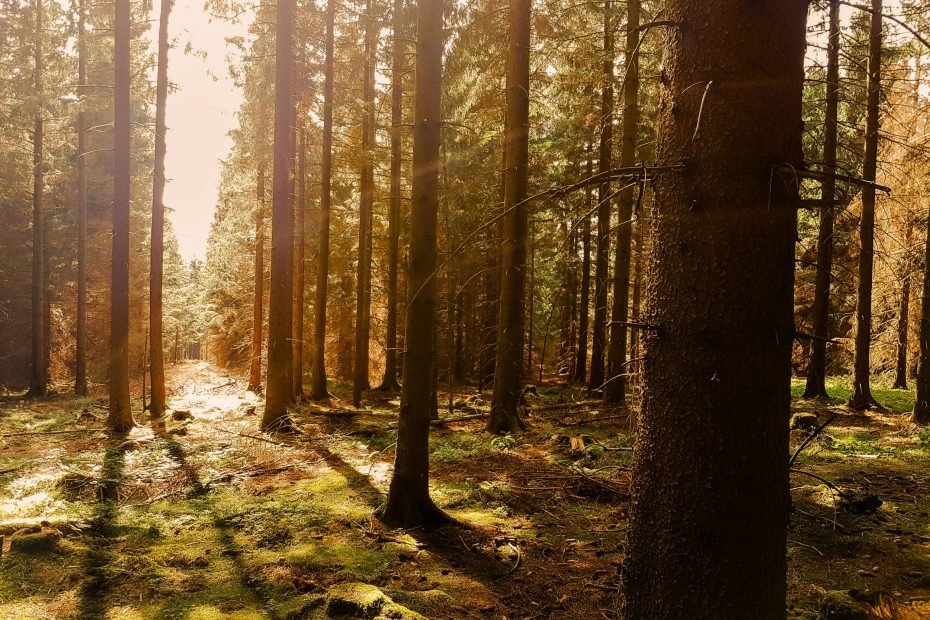 Careful Before The Lord