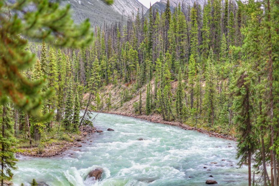 Treasure God's Blessing