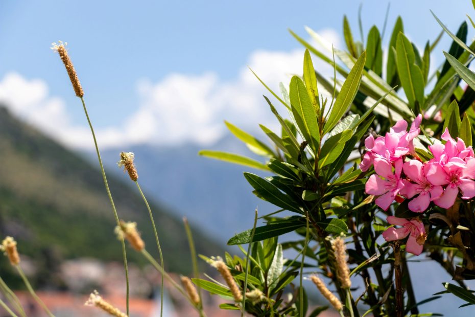 Know The Power of God