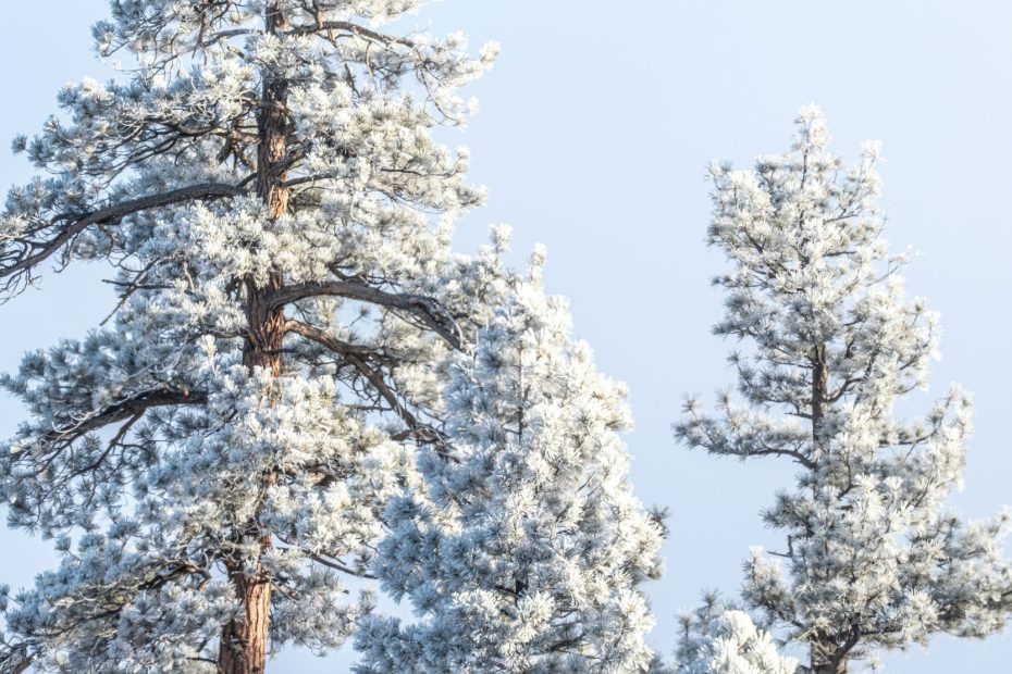 How Gloriously Worthy