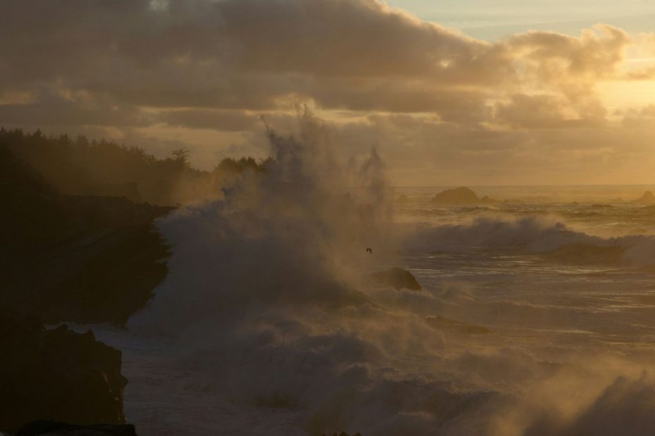 Loved Them To The End