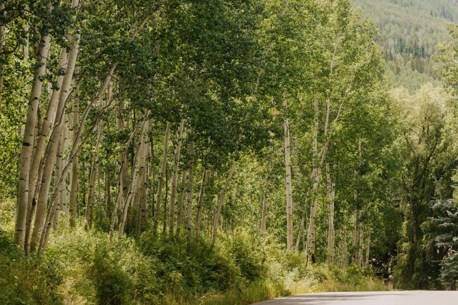 Angry and Do Not Sin