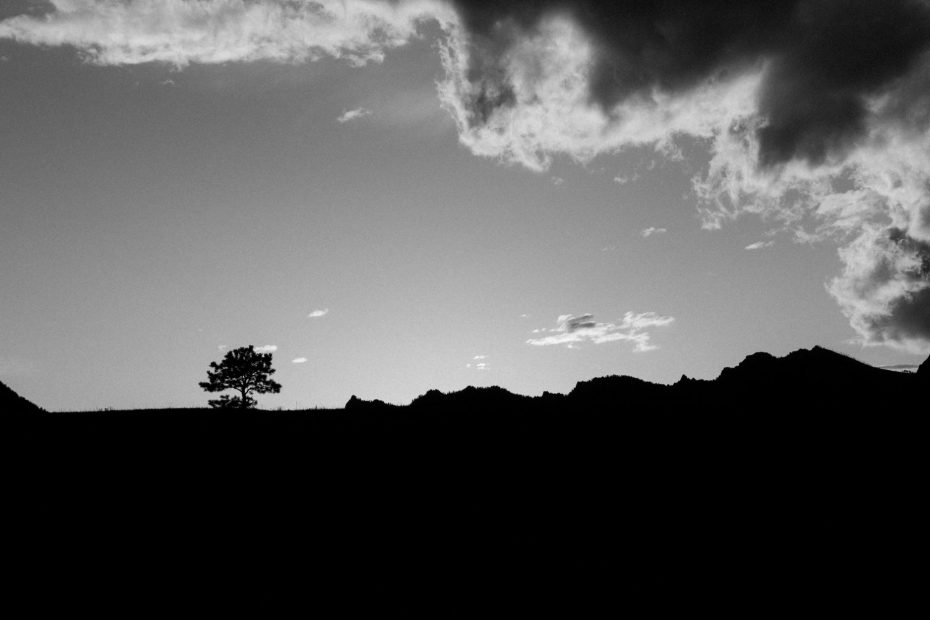 Glorified in the Son