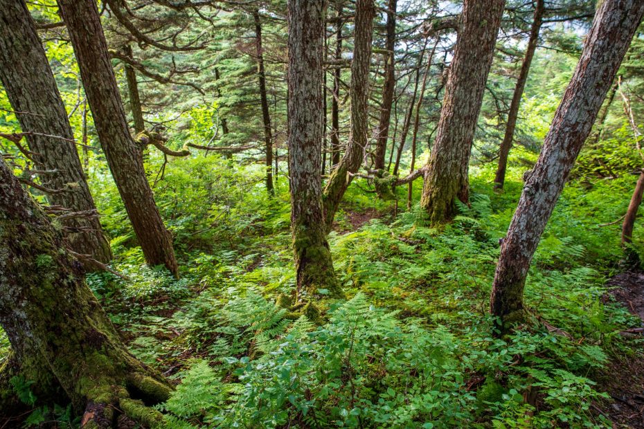 Seeking The Glory of The Father