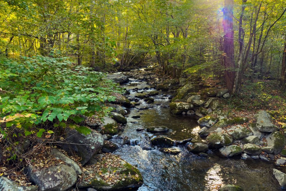 You Are One With Him