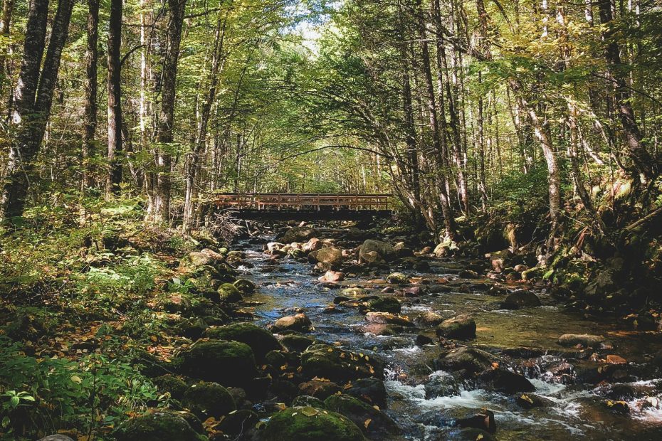 But Faith Trusts God