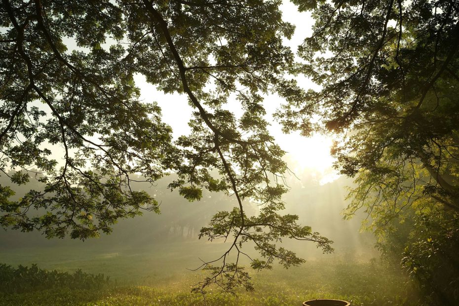 Bringing The Adversary To Justice