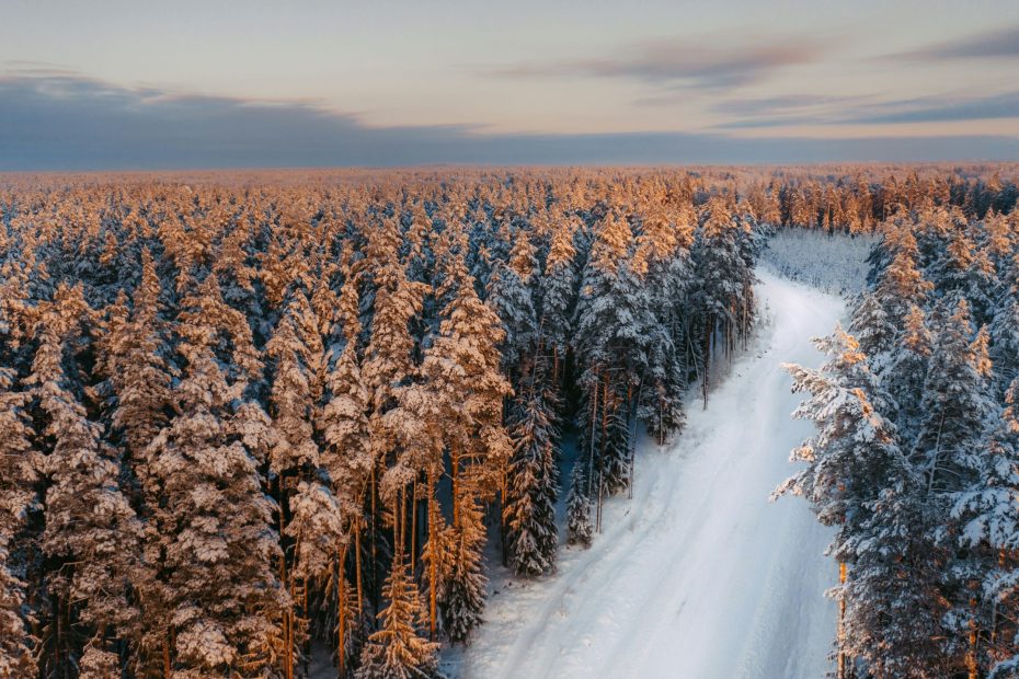 Pray and Not to Faint