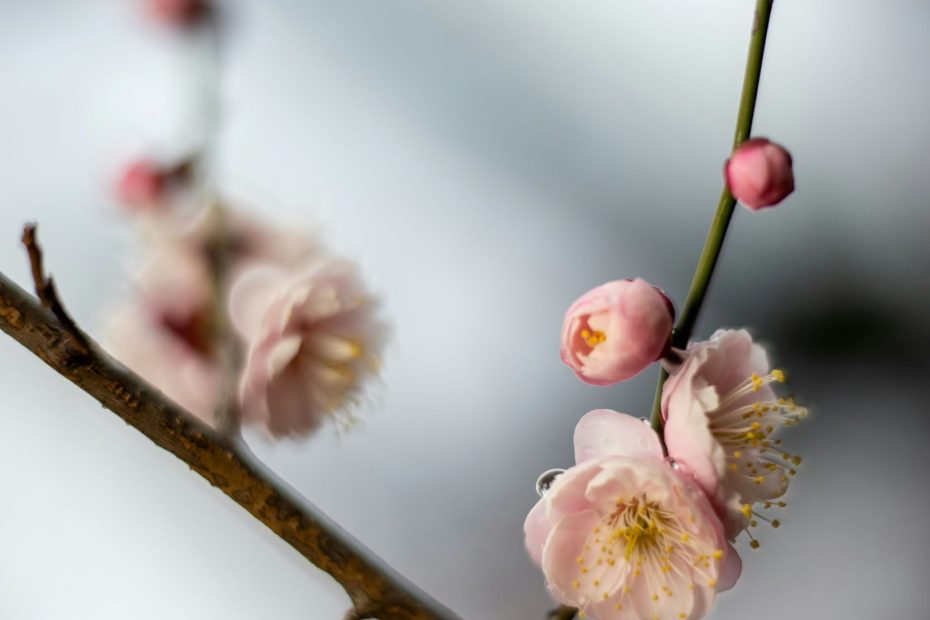 Because God Was With Him