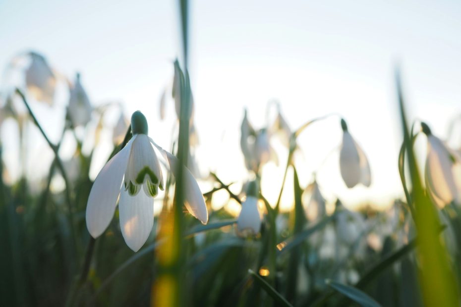 Enter Into All of God's Will