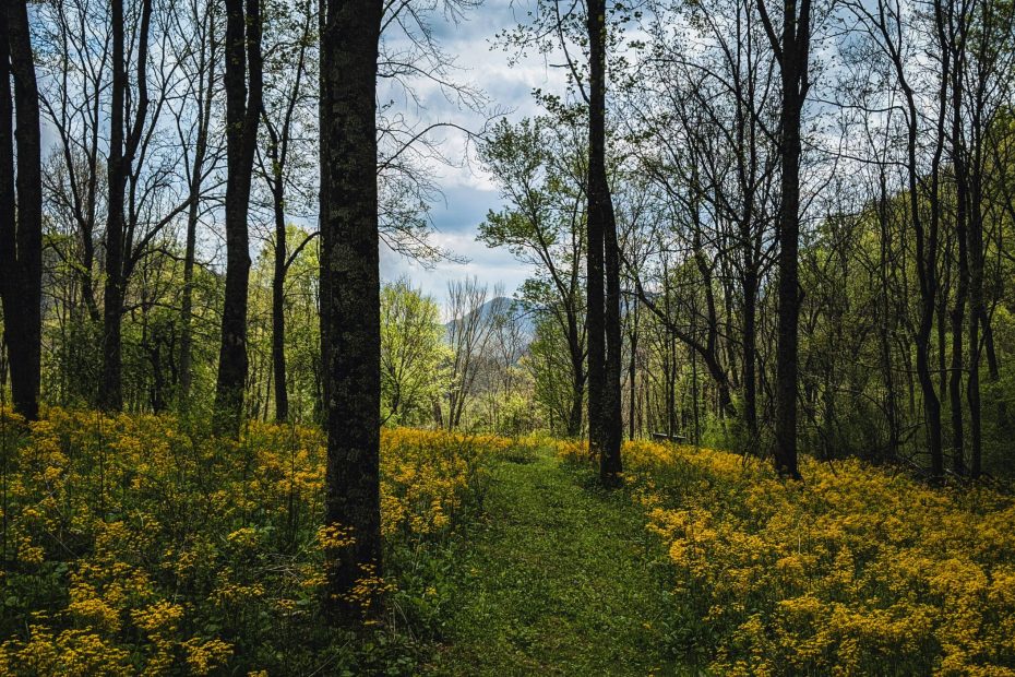 Kept By The Power of God