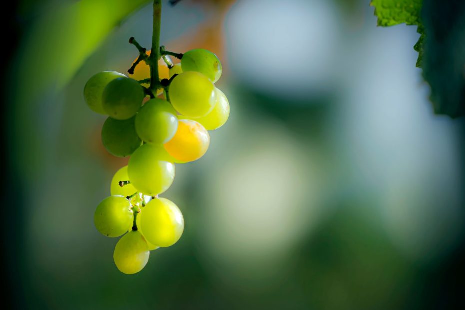 and no one takes your joy from you,