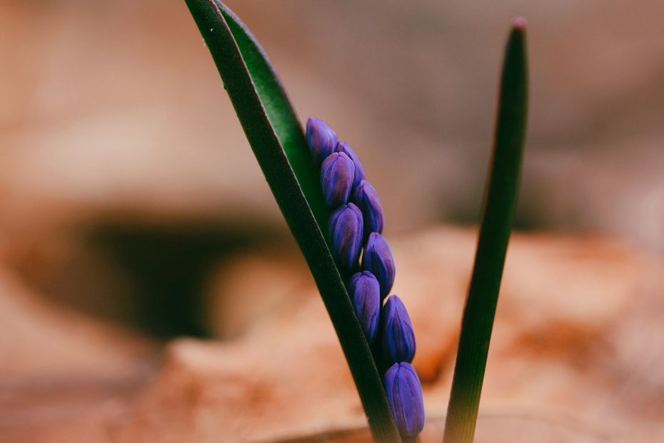 Authoritative Prayer