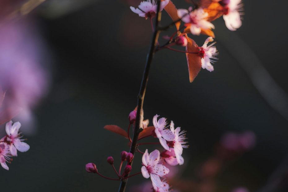 Our Sitting With Christ