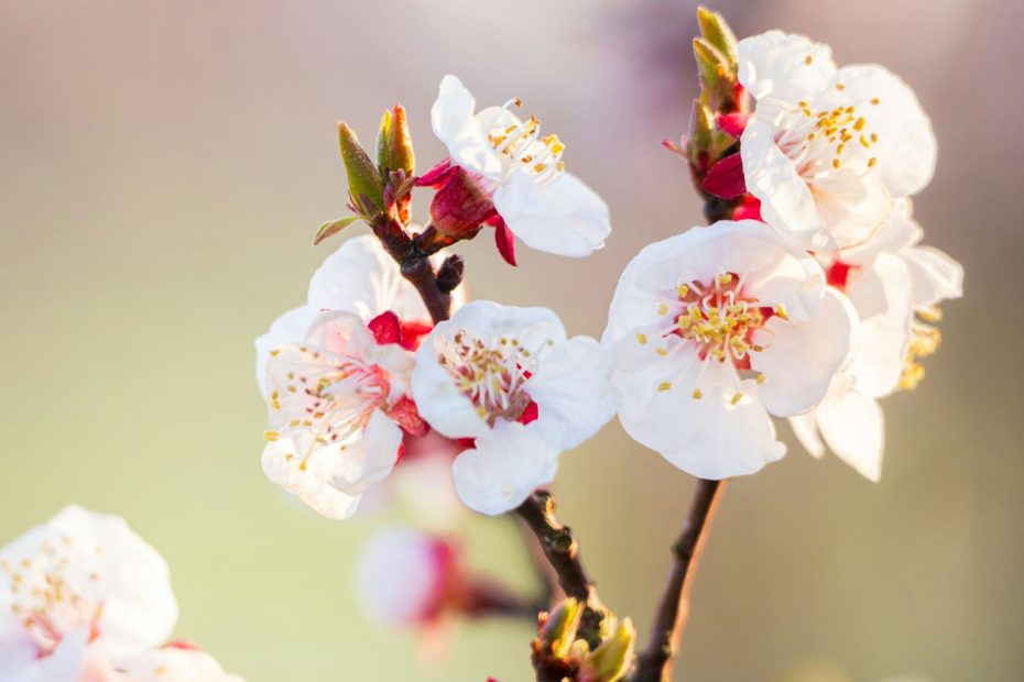 But For The Will of God