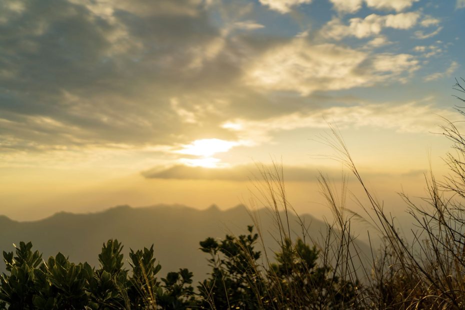 Put The Devil To Shame