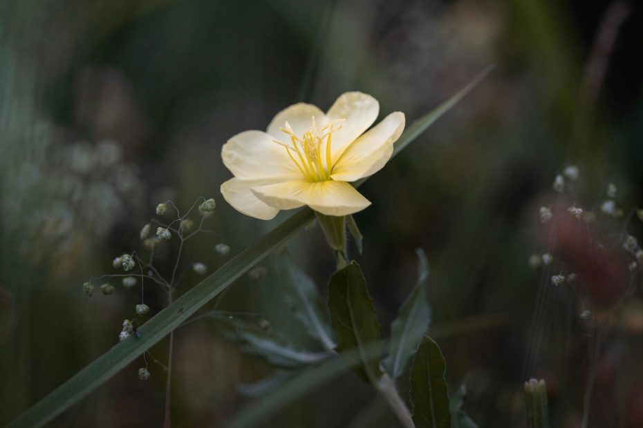 God's Plan God's Work