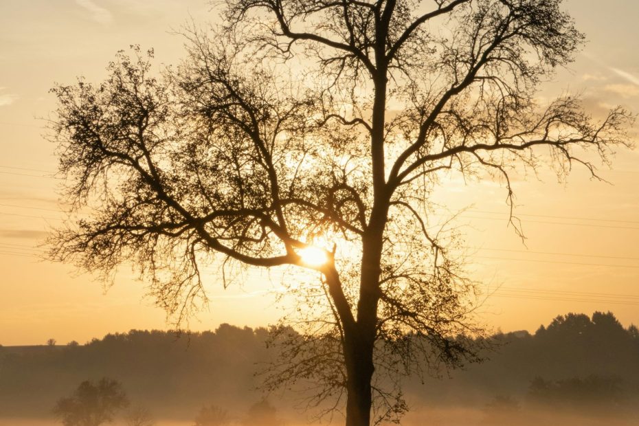 God Always Works Justly