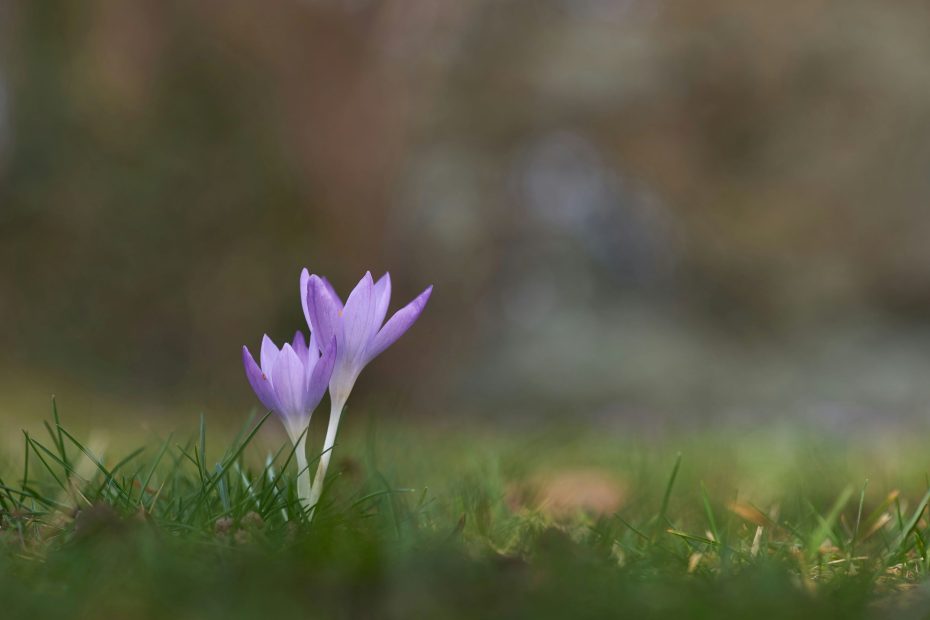 for our God [is] also a consuming fire.